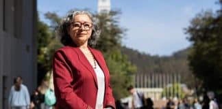 Cientista cria probiótico que elimina bactéria ligada ao câncer de estômago