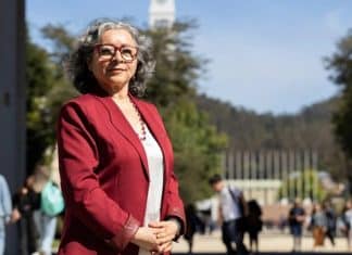 Cientista cria probiótico que elimina bactéria ligada ao câncer de estômago