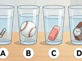Qual copo contém mais água? Seu palpite revela se você é mais generosa ou mais egoísta Qual copo contém mais água