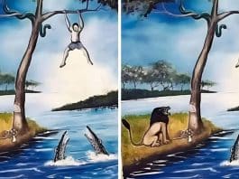 Todo problema tem uma solução: qual é a solução desse?