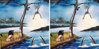 Todo problema tem uma solução: qual é a solução desse?
