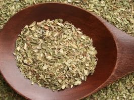 A erva que muita gente tem em casa pode ajudar contra fungos, bactérias e dores inflamatórias oregano planta poderosa