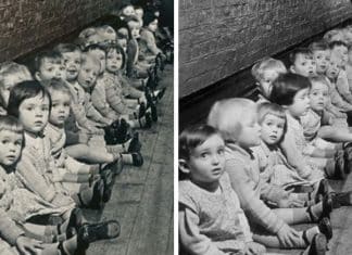 Às portas da câmara de gás, em plena Segunda Guerra, o menino fez à mãe uma pergunta impossível de responder