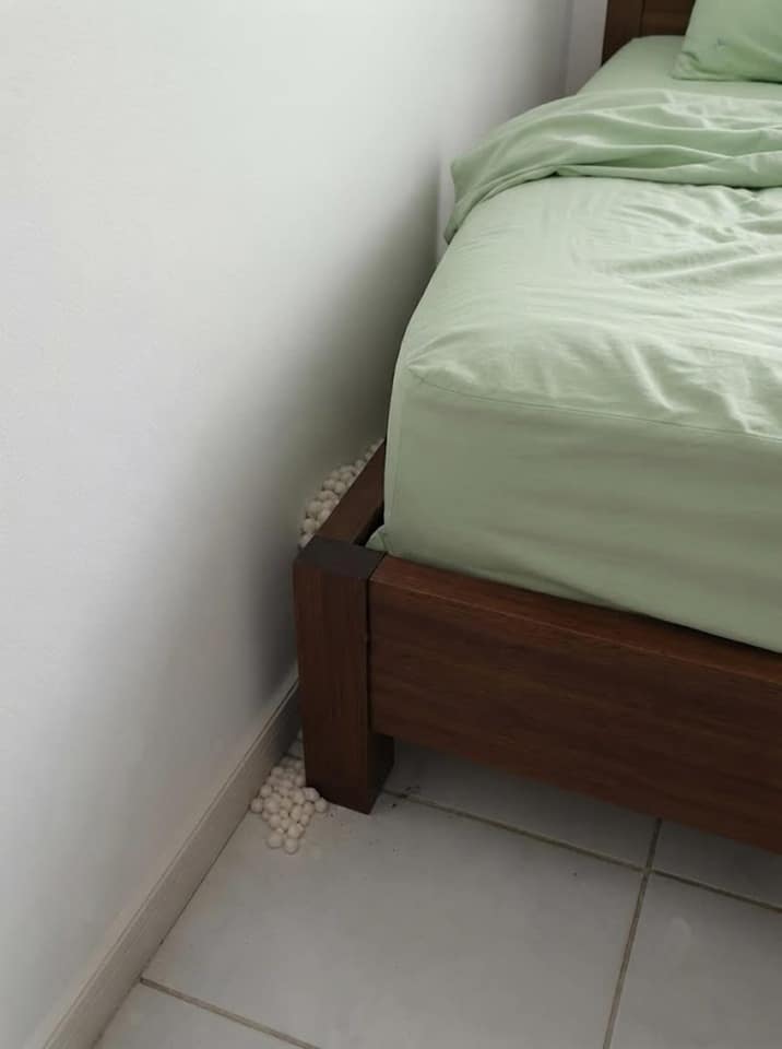 contioutra.com - Pareciam ovos de algum animal, mas as bolinhas brancas perto da cama escondiam outra explica&ccedil;&atilde;o