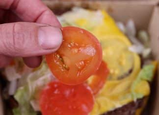 Ele tirou sementes de tomate de dois hambúrgueres do McDonald’s e plantou. 3 meses depois…