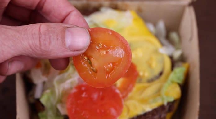 Ele tirou sementes de tomate de dois hambúrgueres do McDonald’s e plantou. 3 meses depois…