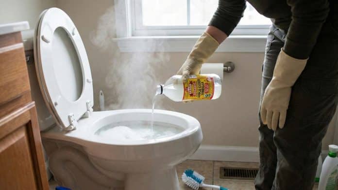 Tem gente jogando vinagre no vaso sanitário toda semana. O motivo faz mais sentido do que parece