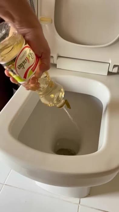 contioutra.com - Tem gente jogando vinagre no vaso sanit&aacute;rio toda semana. O motivo faz mais sentido do que parece