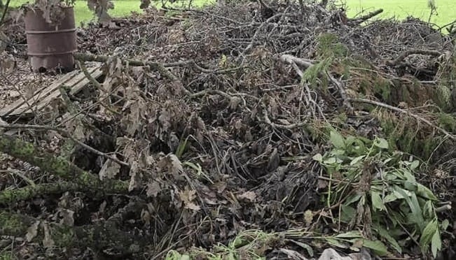 contioutra.com - Voc&ecirc; pode olhar v&aacute;rias vezes para esta imagem e ainda deixar o cachorro passar despercebido
