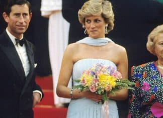 Por trás do vestido: a silenciosa despedida de Diana à mulher que compreendeu sua dor