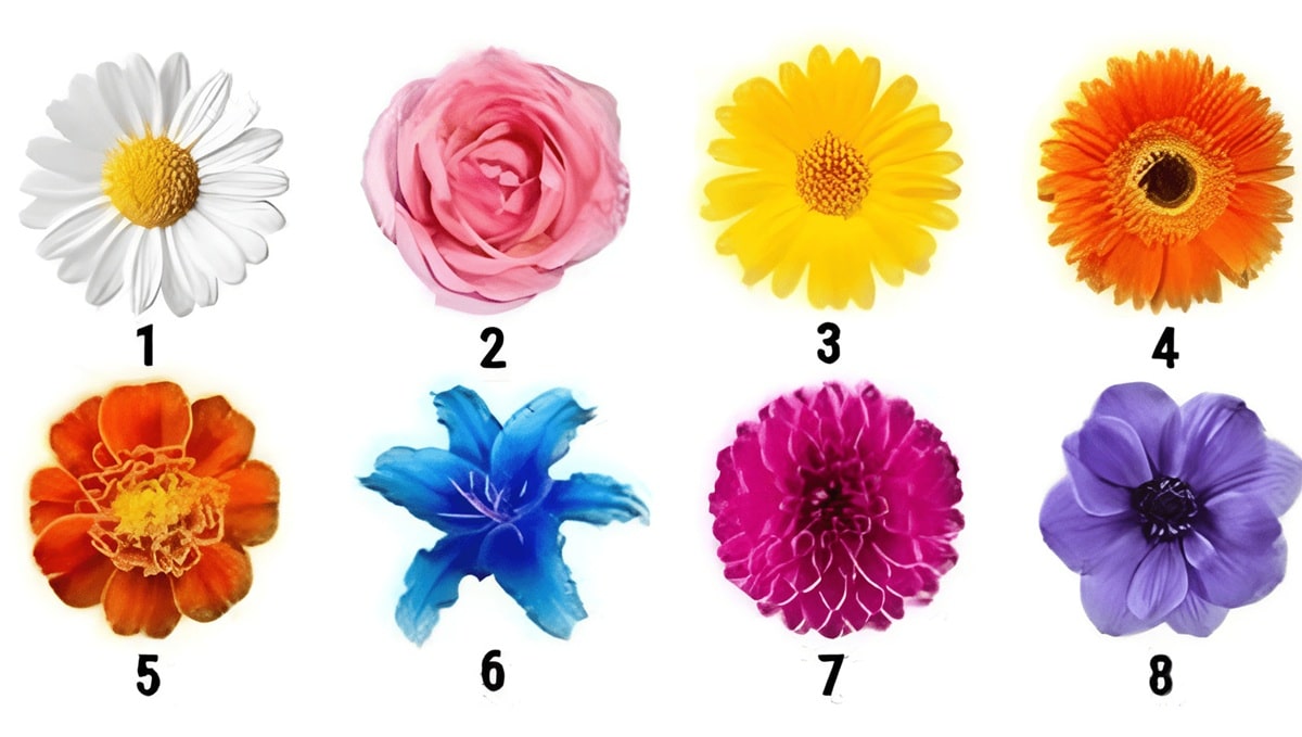 contioutra.com - Qual flor chama sua aten&ccedil;&atilde;o primeiro? A resposta pode revelar tra&ccedil;os curiosos da sua personalidade