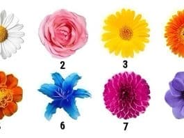 flor personalidade