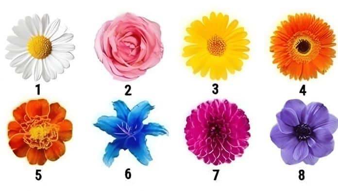 Qual flor chama sua atenção primeiro? A resposta pode revelar traços curiosos da sua personalidade