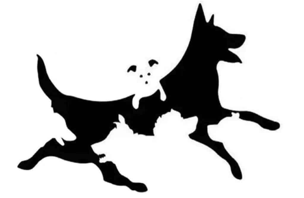 Quantos cães aparecem nesta imagem? Sua resposta corresponde a uma faixa de idade mental neste teste contioutra.com - Quantos cães aparecem nesta imagem? Sua resposta corresponde a uma faixa de idade mental neste teste