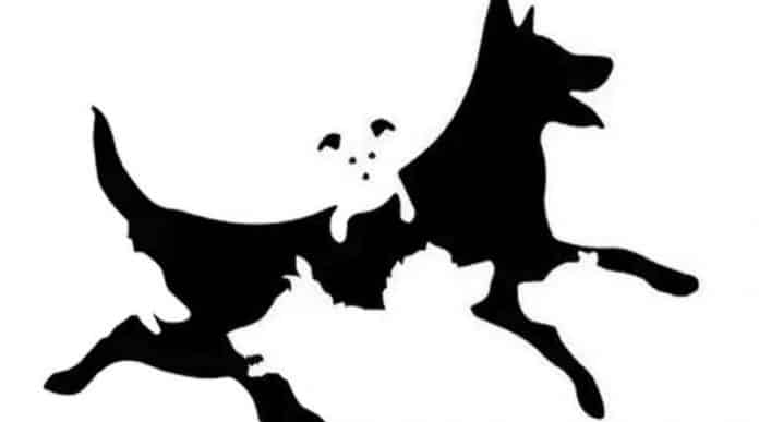 Quantos cães aparecem nesta imagem? Sua resposta corresponde a uma faixa de idade mental neste teste
