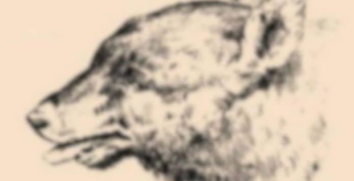 TESTE DE RAPIDEZ: Há duas figuras nesta ilustração, mas a primeira pode impedir você de enxergar a outra
